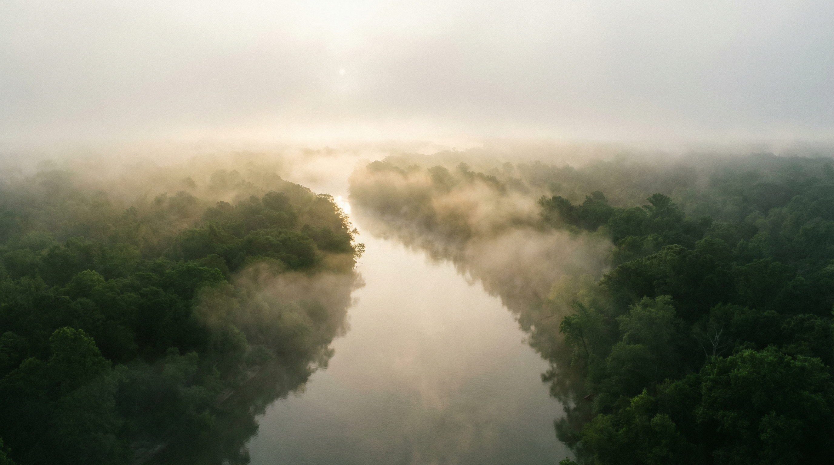 Aerial view of Louisiana river landscape